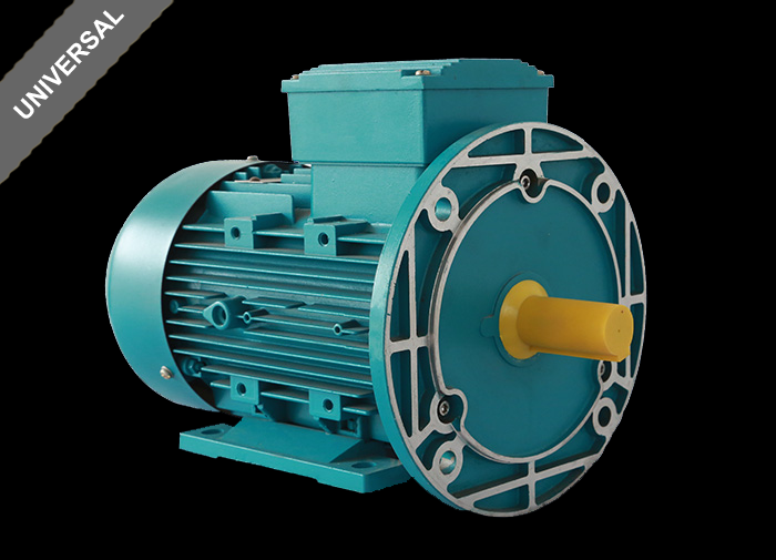 Universal Motor